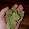 Buy Cannabis Online Brisbane Buy Weed Online Brisbane Where To Buy Cannabis Online In Brisbane 420 Delivery Brisbane. Are THC Weeds are All Grade AA+