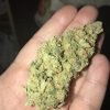 Buy Weed Online Perth Buy Cannabis Online Perth Buy THC Weed Online Perth 420 Delivery Perth. Blue Dream is the perfect strain with which to use while hanging out with friends. It will not overwhelm you.