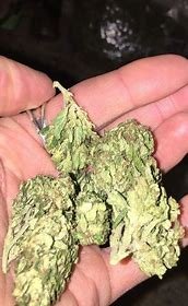 Where to Buy Weed Online In Mackay Buy Cannabis In Mackay. Patients choose Sour Diesel to help relieve symptoms associated with depression and stress.