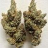 Where To Buy Cannabis Online In Ballarat Buy Weed In Ballarat. It provides users with a full-body high that is more calming than euphoric or energizing.