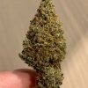 Buy Gelato Strain Online Australia